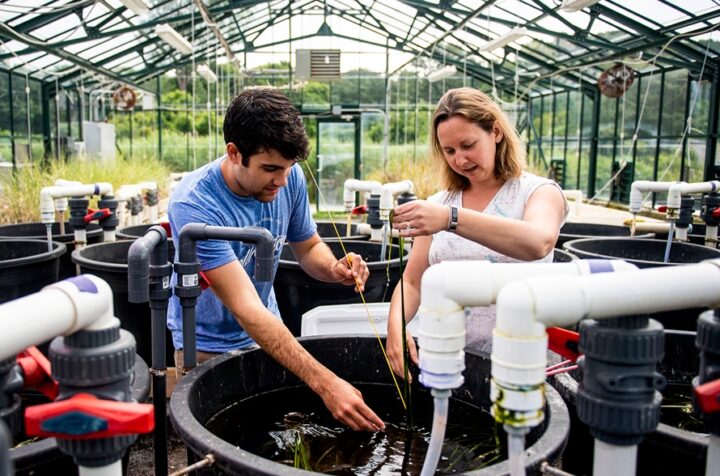 Program 09 Experiential Projects