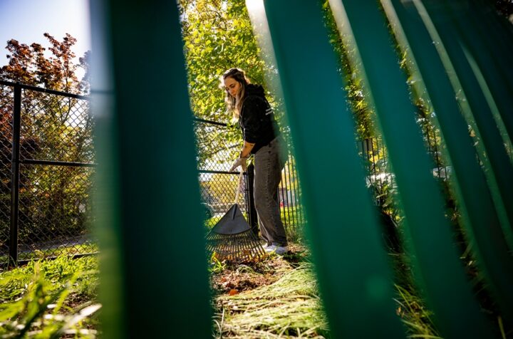 Program 10 Service Learning