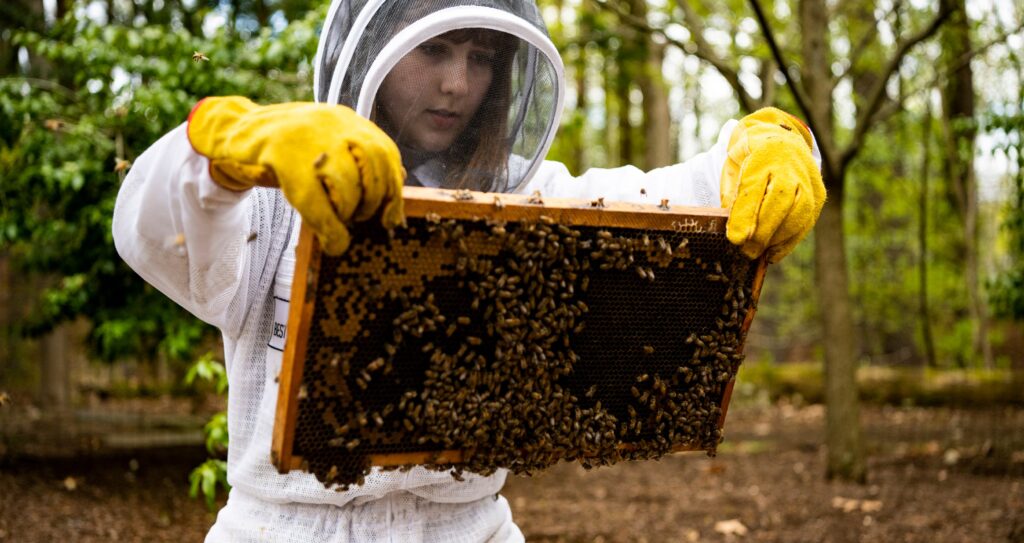 What is Experiential Learning Hero Woman Bee Keeping