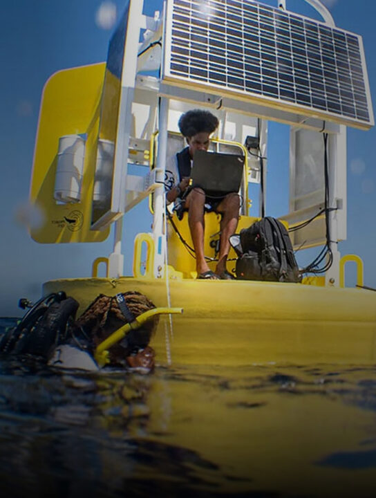 Student exploring diverse experiential learning opportunities across multiple locations and fields